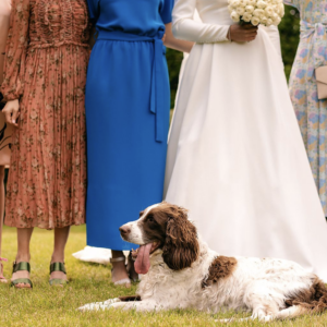 Hond in het gras bij bruiloft