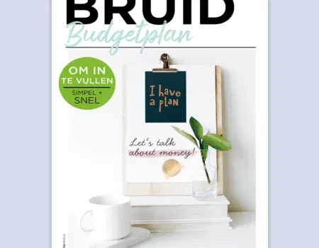 BRUID Budgetplan