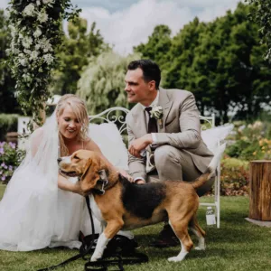 Hond die geaaid wordt op bruiloft door bruid en bruidegom 