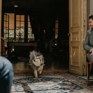 Hond op een bruiloft die de ringen brengt