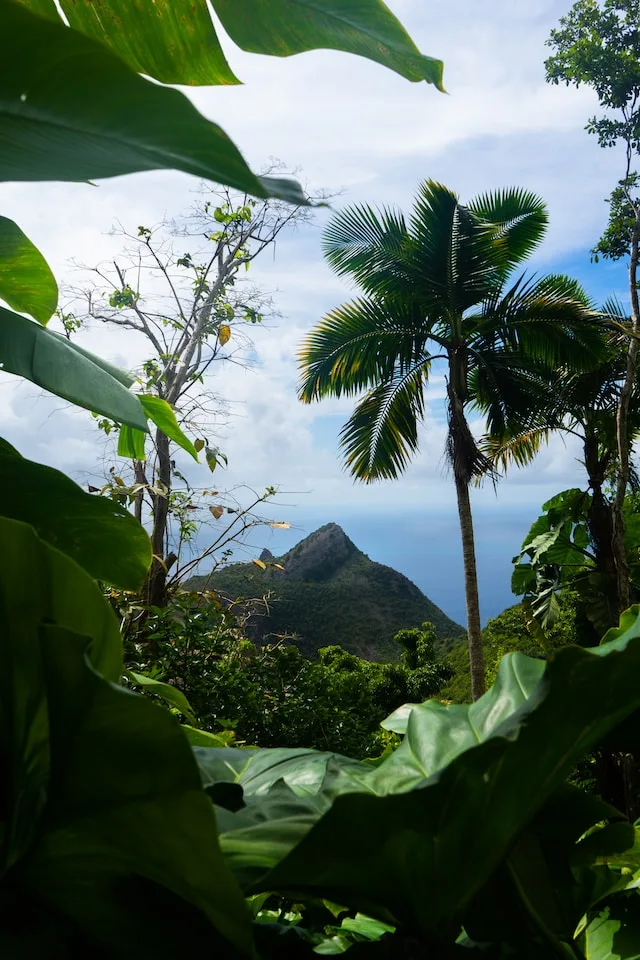 Een foto in Saba van een berg