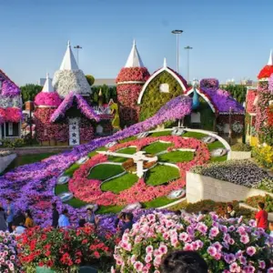 Miracle Garden in Dubai